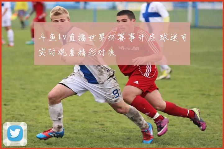斗鱼tv直播世界杯赛事开启 球迷可实时观看精彩对决