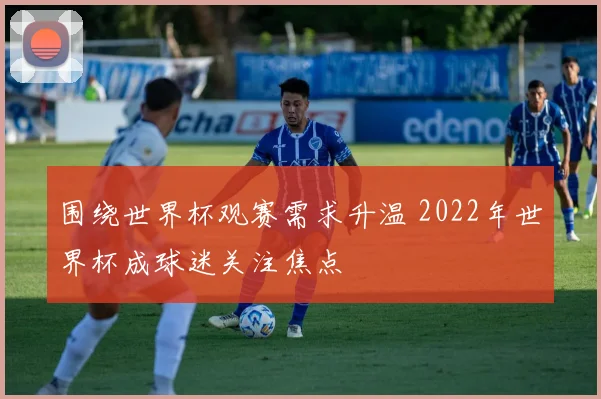 围绕世界杯观赛需求升温 2022年世界杯成球迷关注焦点