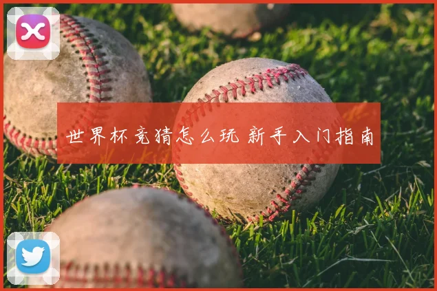 世界杯竞猜怎么玩 新手入门指南