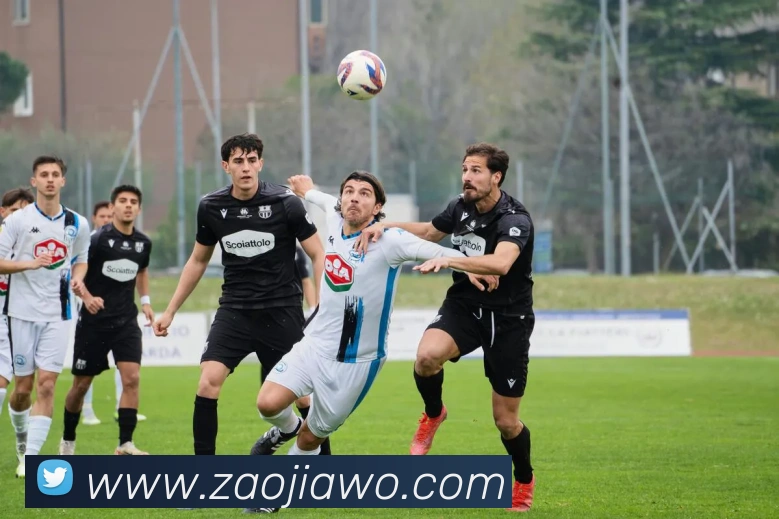 世界杯app平台平台生态图