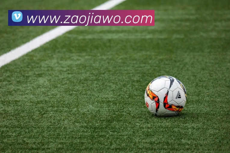 买球官方APP 高清赛事图